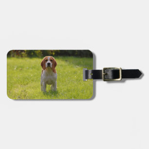 犬の恋人フォトペットキープサケ ラゲッジタグ