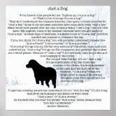 犬の恋人引用文最高の – 友人 – 犬の引用文 ポスター (正面)