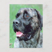 犬の息 ポストカード (正面)