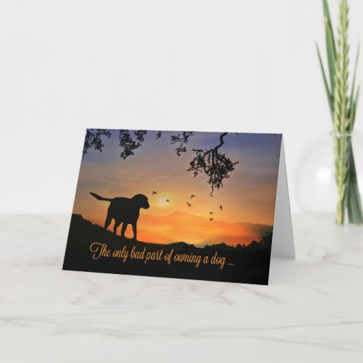 犬の悔やみや弔慰カード、犬の損失のための哀悼の言葉 カード (正面)