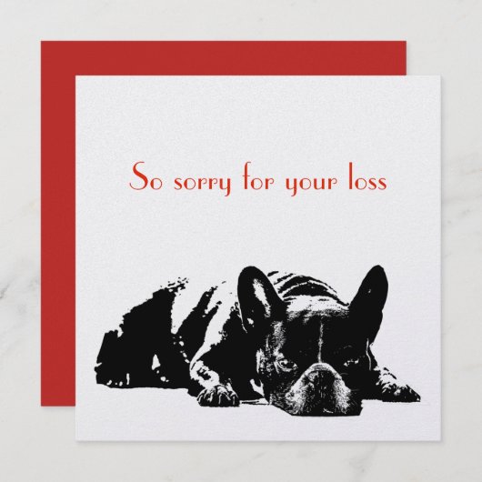 犬の悔やみや弔慰 (正面/裏面)
