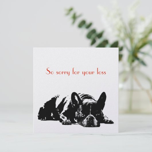 犬の悔やみや弔慰 (スタンド正面)