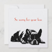 犬の悔やみや弔慰 (正面)