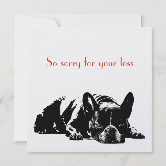 犬の悔やみや弔慰 (正面)