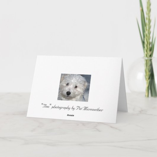 犬の悔やみや弔慰 カード (裏面)