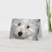 犬の悔やみや弔慰 カード (正面)