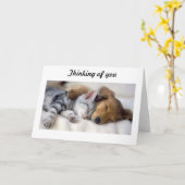 犬の悔やみや弔慰 カード (黄色い花)