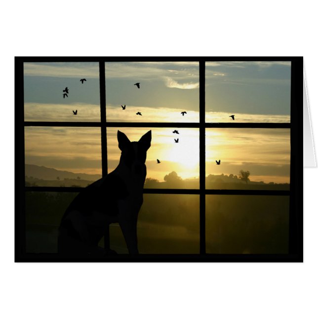 犬の悔やみや弔慰、犬のカードの紛失 (正面横)