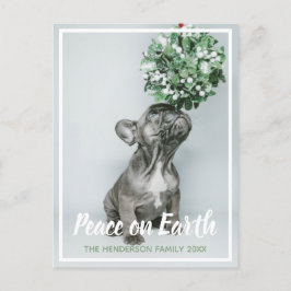 犬の愛するクリスマスに子犬の写真の平和 シーズンポストカード