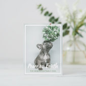 犬の愛するクリスマスに子犬の写真の平和 シーズンポストカード (スタンド正面)