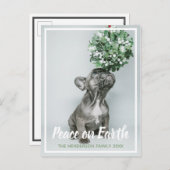 犬の愛するクリスマスに子犬の写真の平和 シーズンポストカード (正面/裏面)