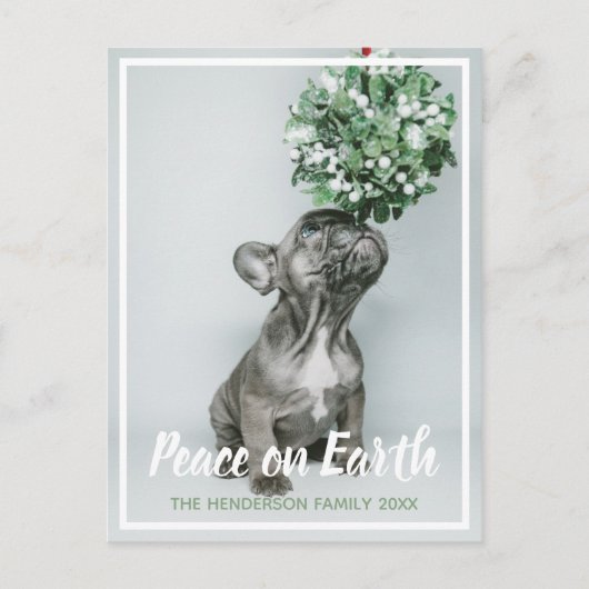 犬の愛するクリスマスに子犬の写真の平和 シーズンポストカード (正面)