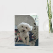 犬の愛グリーティングカード シーズンカード (正面)