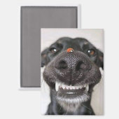 犬の愛… マグネット (正面/裏面)