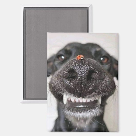 犬の愛… マグネット (正面/裏面)