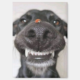 犬の愛… マグネット