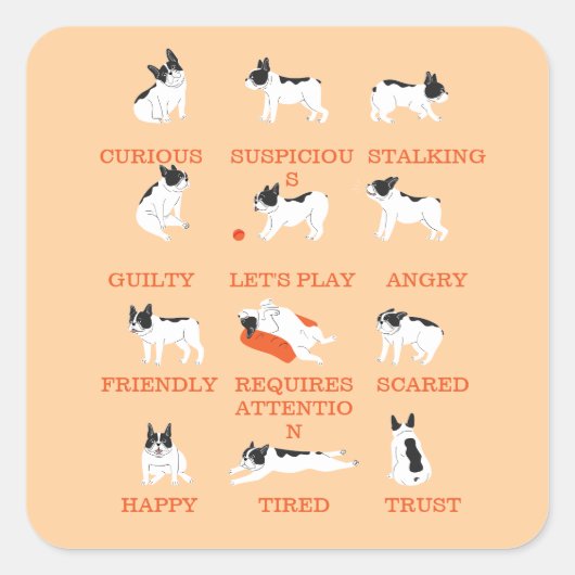 犬の感情 スクエアシール (正面)