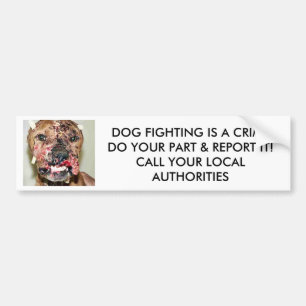 犬の戦いはAの罪のバンパーステッカーです バンパーステッカー