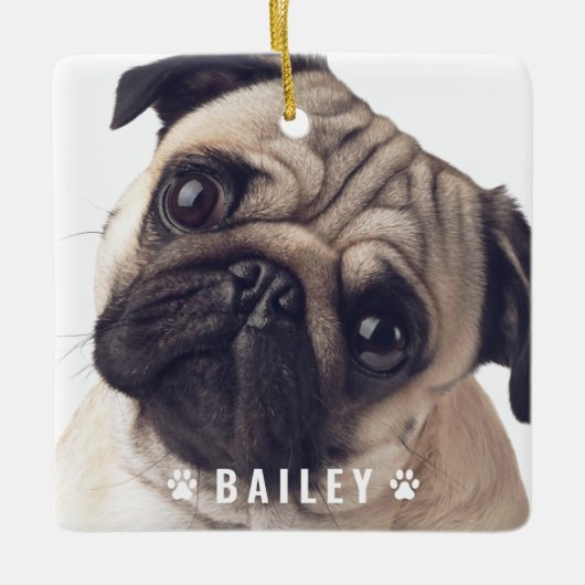 犬の手の名前のペットの写真プレート セラミックオーナメント (正面)