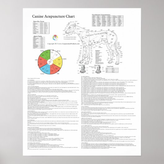 犬の指圧鍼治療図 ポスター (正面)