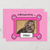 犬の採用または誕生の発表(ピンク) 案内状 (正面/裏面)