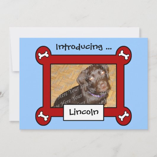 犬の採用または誕生の発表(赤く及び青) 案内状 (正面)