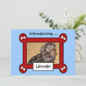 犬の採用または誕生の発表(赤く及び青) 案内状 (スタンド正面)