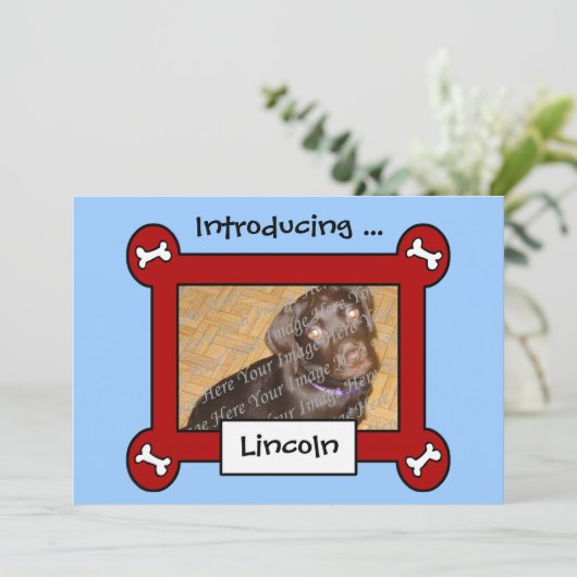 犬の採用または誕生の発表(赤く及び青) 案内状 (スタンド正面)