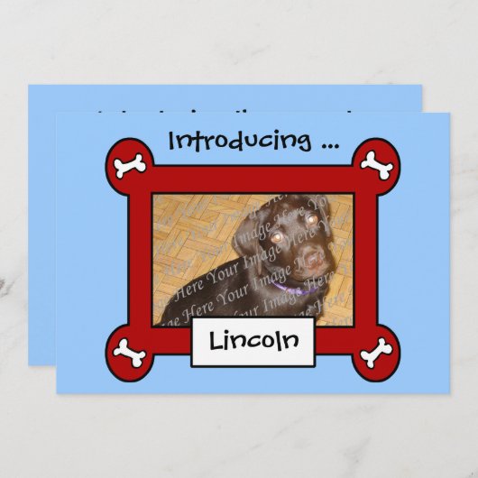 犬の採用または誕生の発表(赤く及び青) 案内状 (正面/裏面)