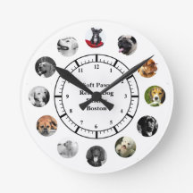 犬の救助避難所，リホーミング12の写真集が命名される