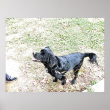 犬の散歩の時間