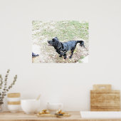 犬の散歩の時間 ポスター (キッチン)