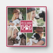 犬の方が命が惜しい |写真のコラージュ フォトプラーク (正面)