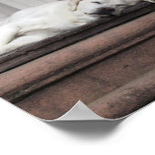 犬の日の午後 ポスター (角)