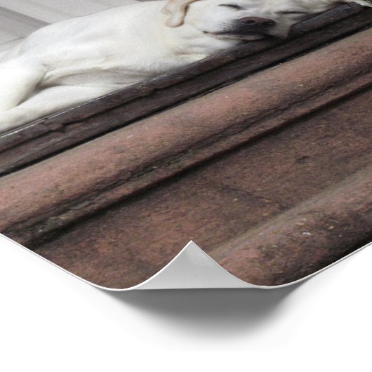 犬の日の午後 ポスター (角)