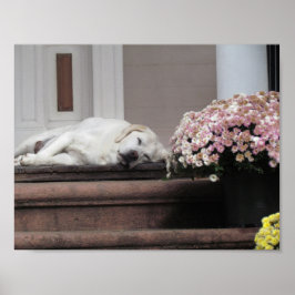 犬の日の午後 ポスター