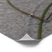 犬の日の午後 ポスター (角)