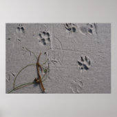 犬の日の午後 ポスター (正面)