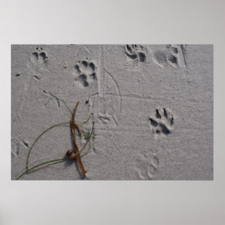 犬の日の午後 ポスター