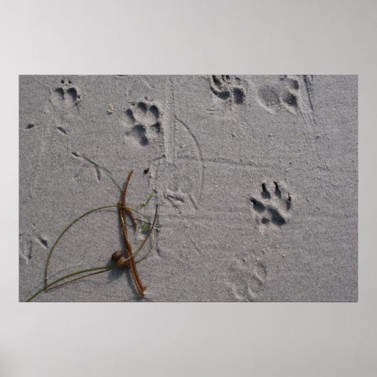 犬の日の午後 ポスター (正面)