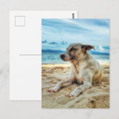 犬の日リラックスビーチ、海砂と太陽 ポストカード (正面/裏面)