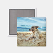 犬の日リラックスビーチ、海砂と太陽 マグネット (正面/裏面)