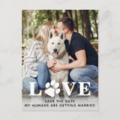 犬の日付を保存結婚する 案内ポストカード (正面)