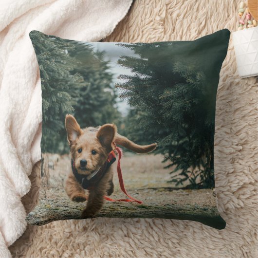 「犬の日夢」 クッション (ブランケット)