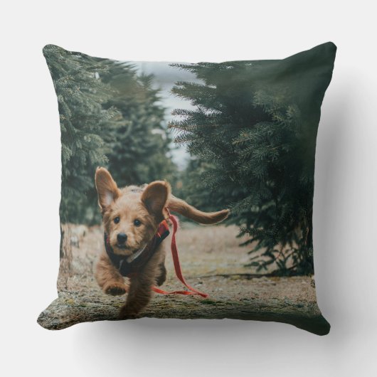 「犬の日夢」 クッション (正面)