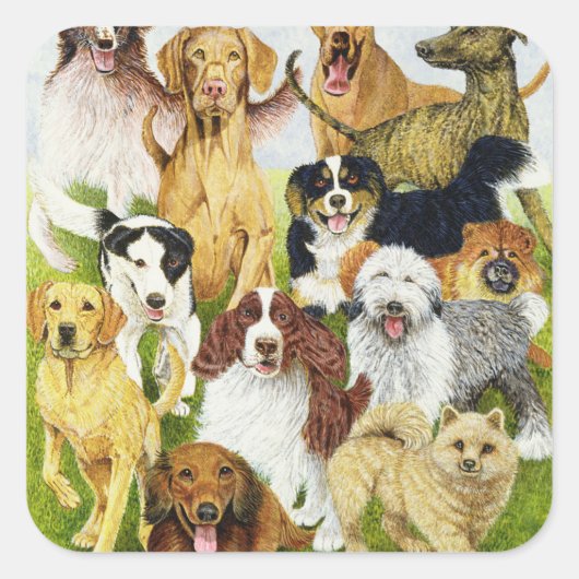 犬の日 スクエアシール (正面)