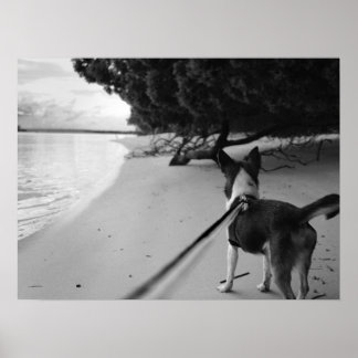 犬の日 ポスター