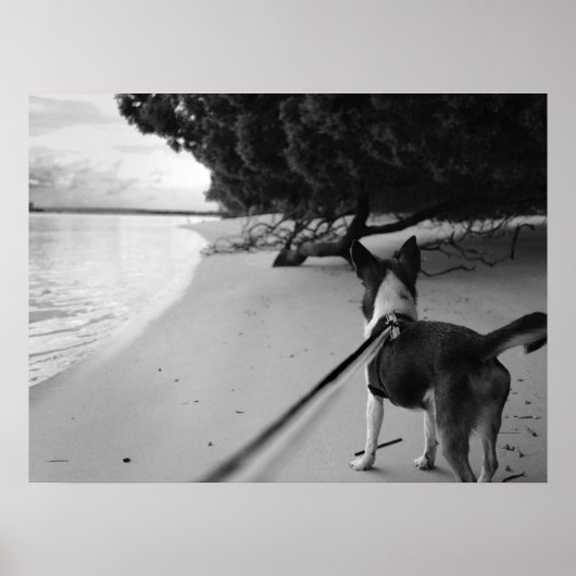 犬の日 ポスター (正面)