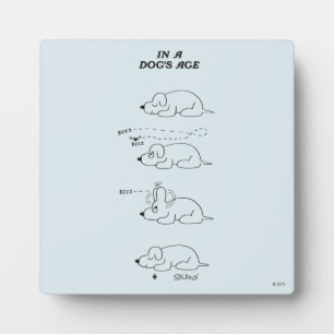 犬の時代に フォトプラーク