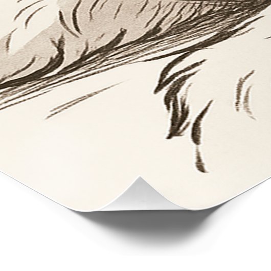 犬の最大 ポスター (コーナー)